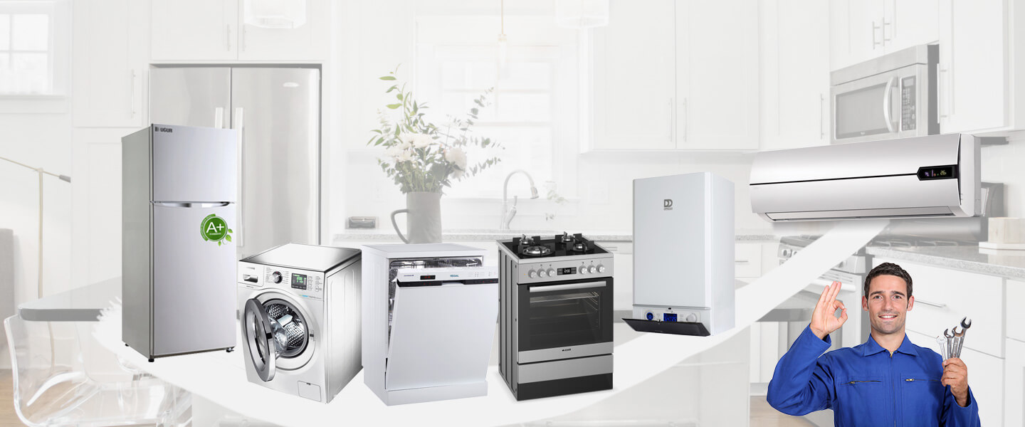 Mihalıççık Smeg Servisi